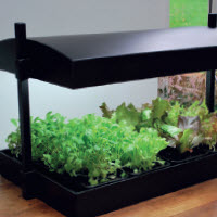 GROW LIGHT GARDEN - lampe de rechange 60 cm