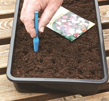 Plantpen uit kunststof