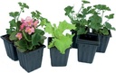 Plastic plantenpotjes 7 x 7 x 8 - 25 st