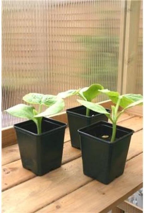 Plastic plantenpotjes 9 x 9 x 10 cm - 25 st