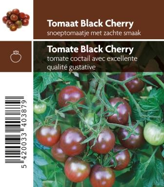 Tomaat Black Cherry F1 - 1 plantje