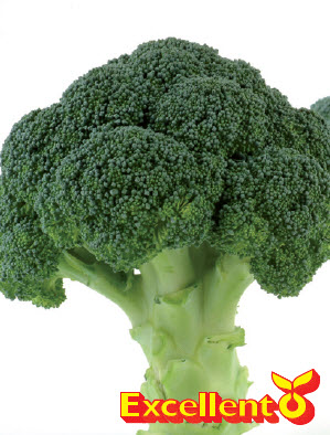 Broccoli NAXOS - ca 100 z