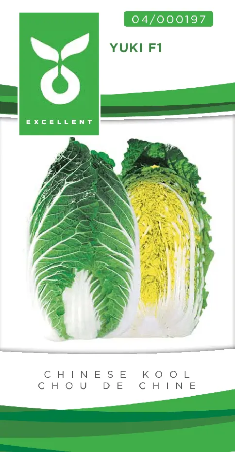 Chou de chine YUKI F1 - ca 100 s