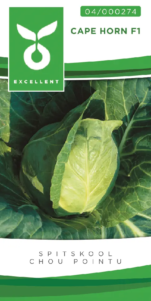 Spitskool CAPE HORN F1 - ca 75 z