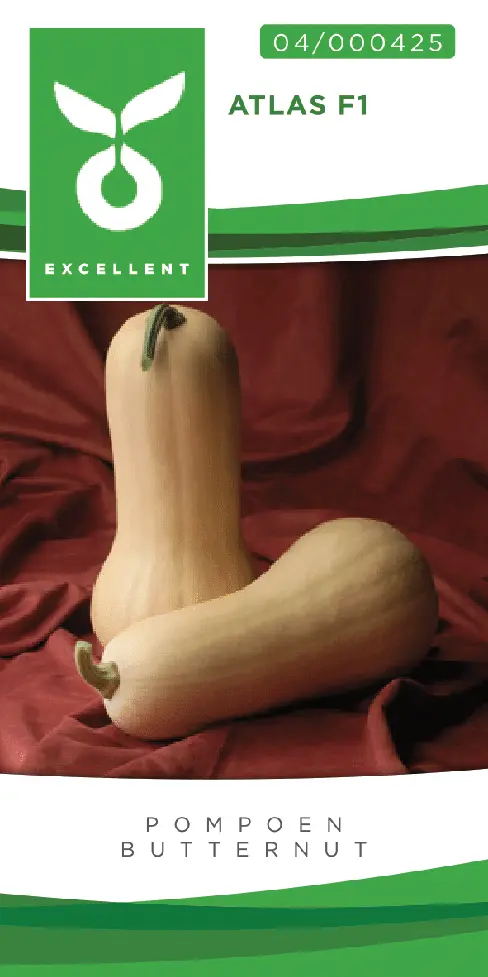 Butternut TIVANO F1 (ATLAS F1) - ca 10 z