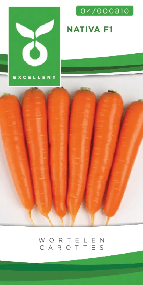 Carottes NATIVA F1 - ca 1000 s