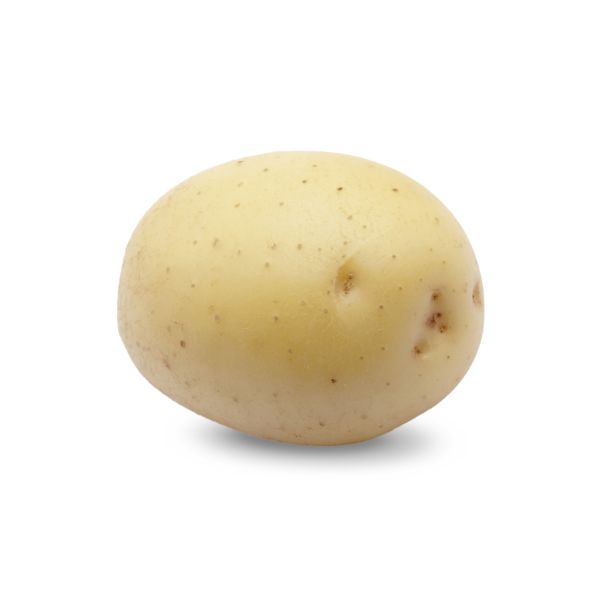 Plants de pomme de terre COLOMBA Classe A 28/35 - par kg