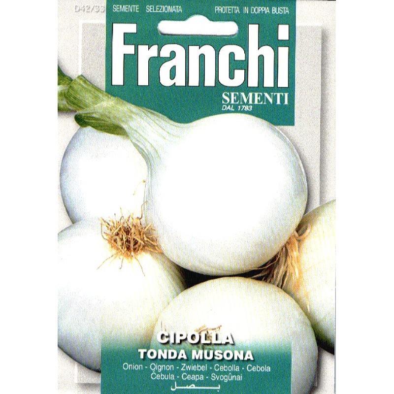 Oignon à semer blanc GRAND ROND BLANC (Tonda Musona) - ca 4 g