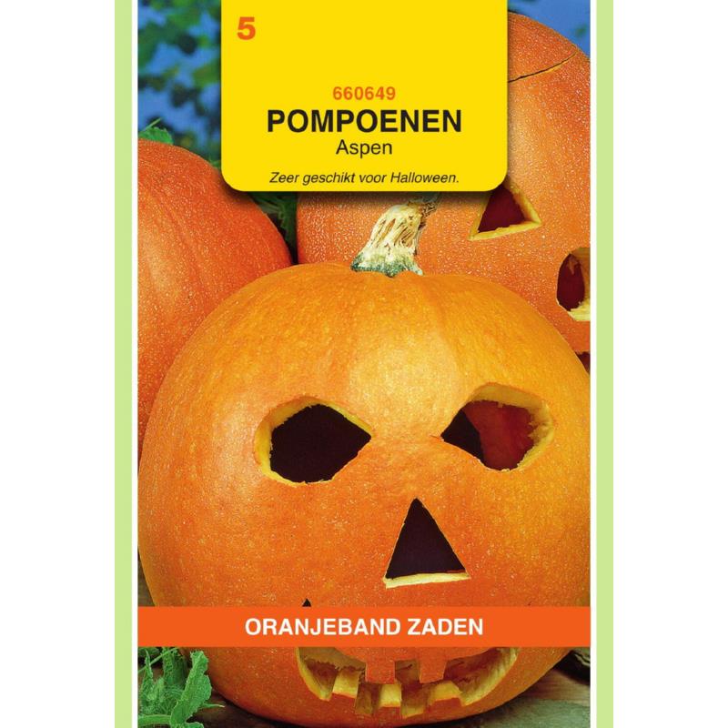 Pompoen ASPEN F1 - ca 7 z