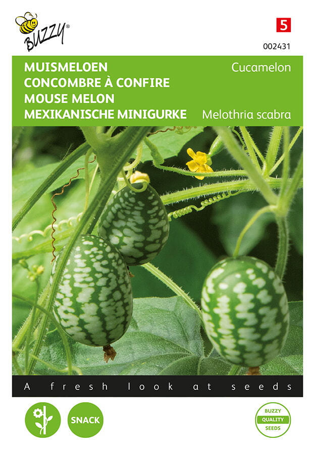 Concombre à confire, Cucamelon - ca 15 s