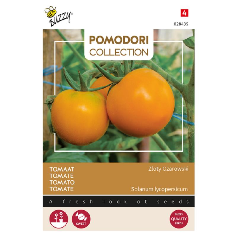 Tomates ZLOTY OZAROWSKI (Arancia) - ca 1,5 g