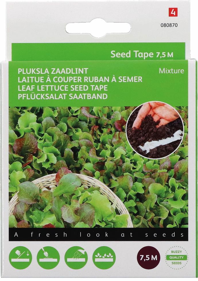 RUBAN DE GRAINES LAITUE MÉLANGÉE - ca 7,5 m