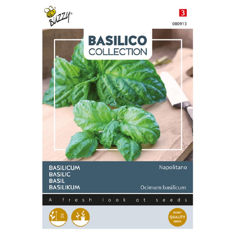 Basilic FEUILLE SALADE - ca 1,5 g