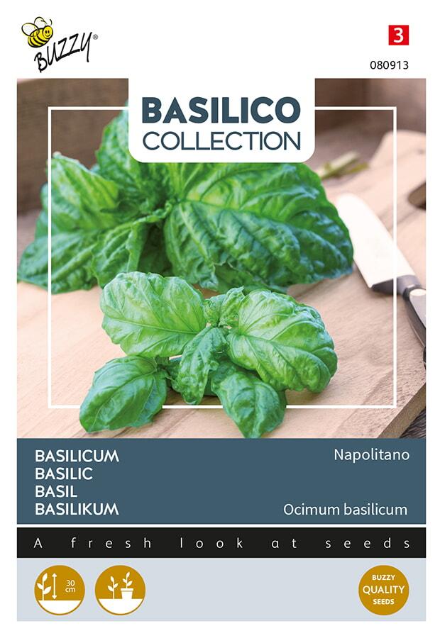 Basilicum slabladig Napolitano - ca 1,5 g