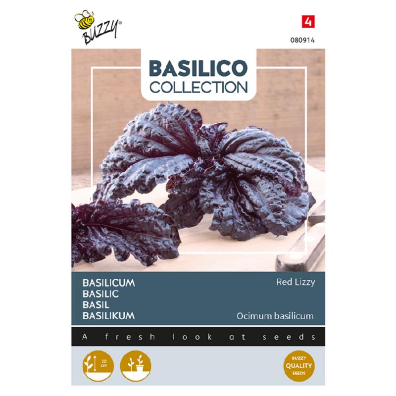 BASILICUM,BASILICUM A FOGLIA,Purperkleurige slabladige basilicum,1.5g