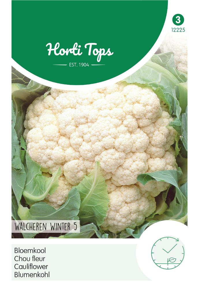 Chou-fleur WALCHEREN HIVER 5 - ca 0,5 g