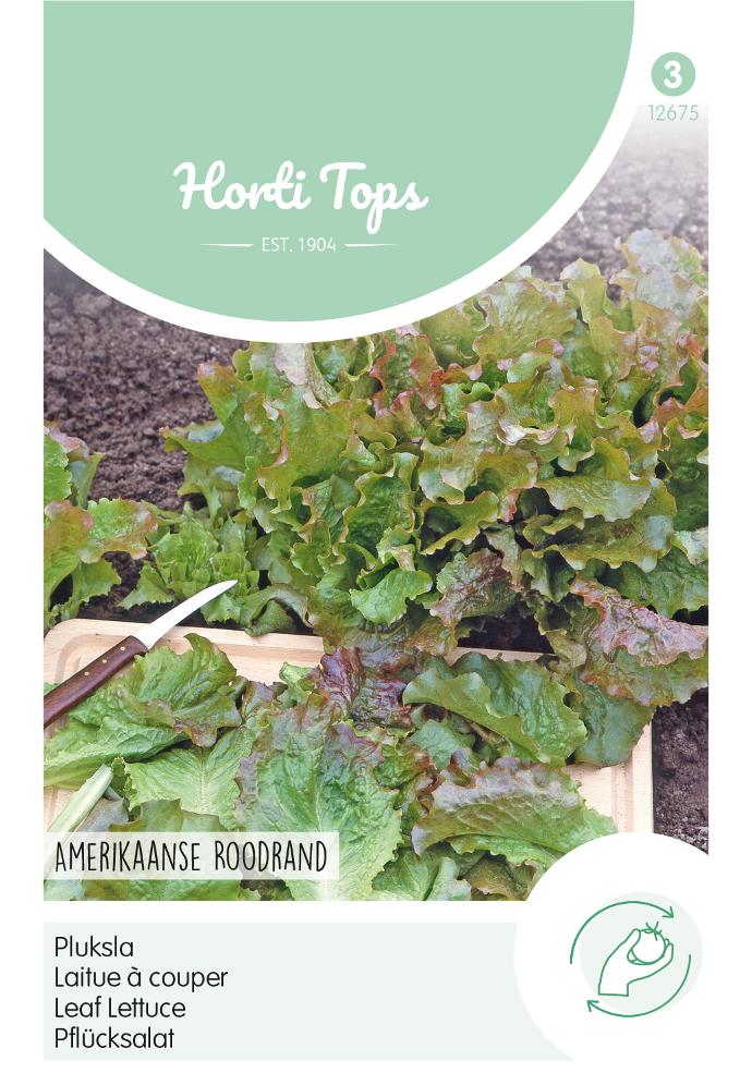 Laitue à couper FRISÉE D'AMÉRIQUE - ca 10 g