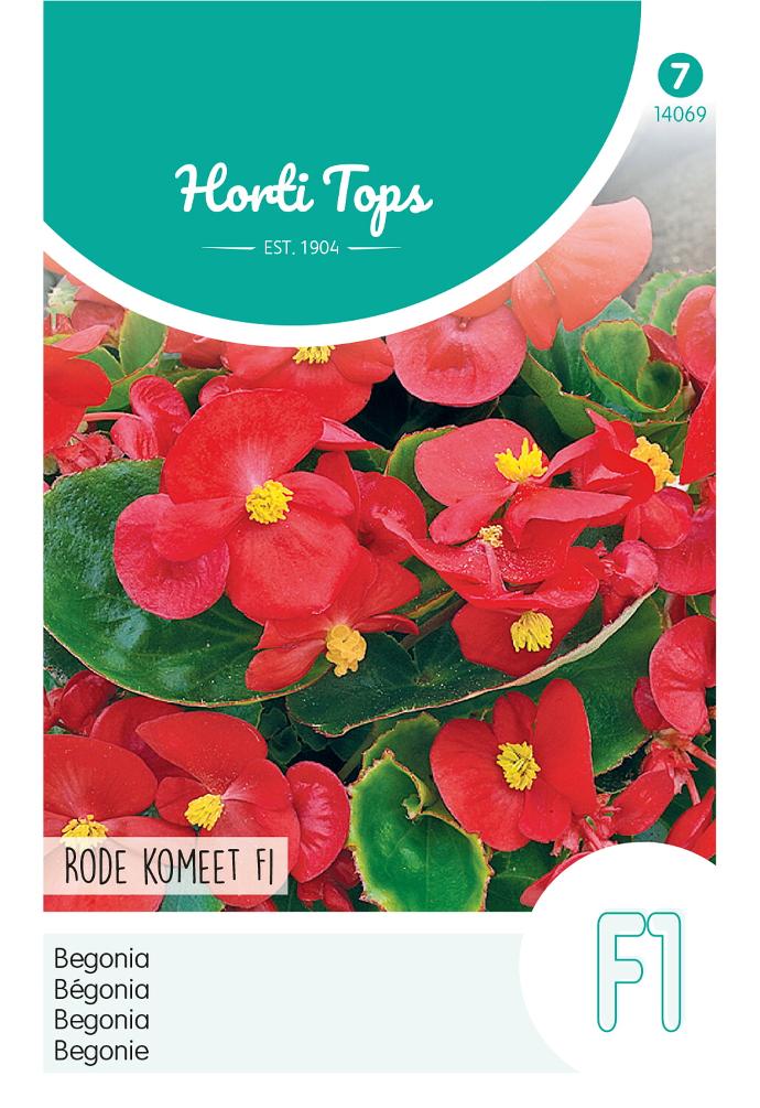 Begonia red COMET F1 - ca 700 s