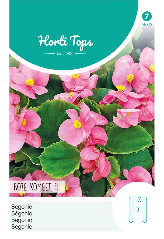 Begonia roze KOMEET F1 - ca 700 z