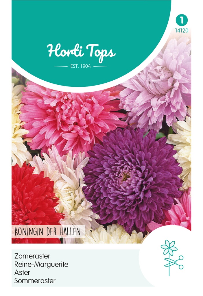 Callistephus, Zomeraster Koningin der Hallen gemengd - ca 1g