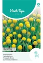 Cephalophora aromatica PINEAPPLES - ca 0,10 g