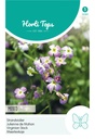 Cheiranthus maritimus - ca 1 g