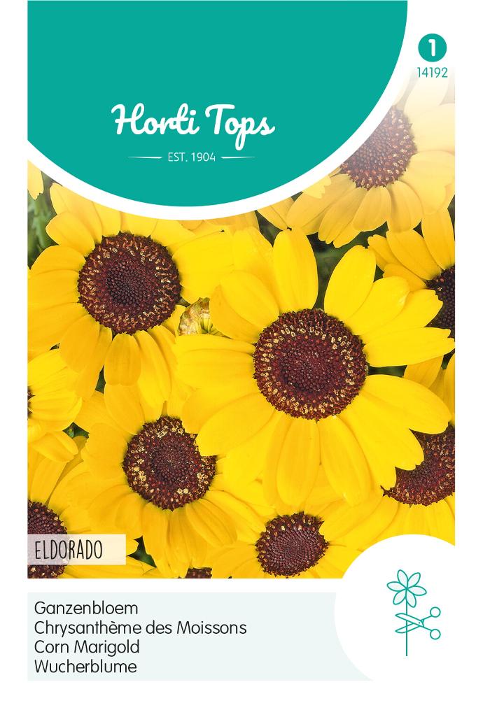 Chrysanthemum segetum ELDORADO - ca 1 g