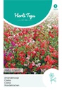 Clarkia ELEGANS - ca 1 g