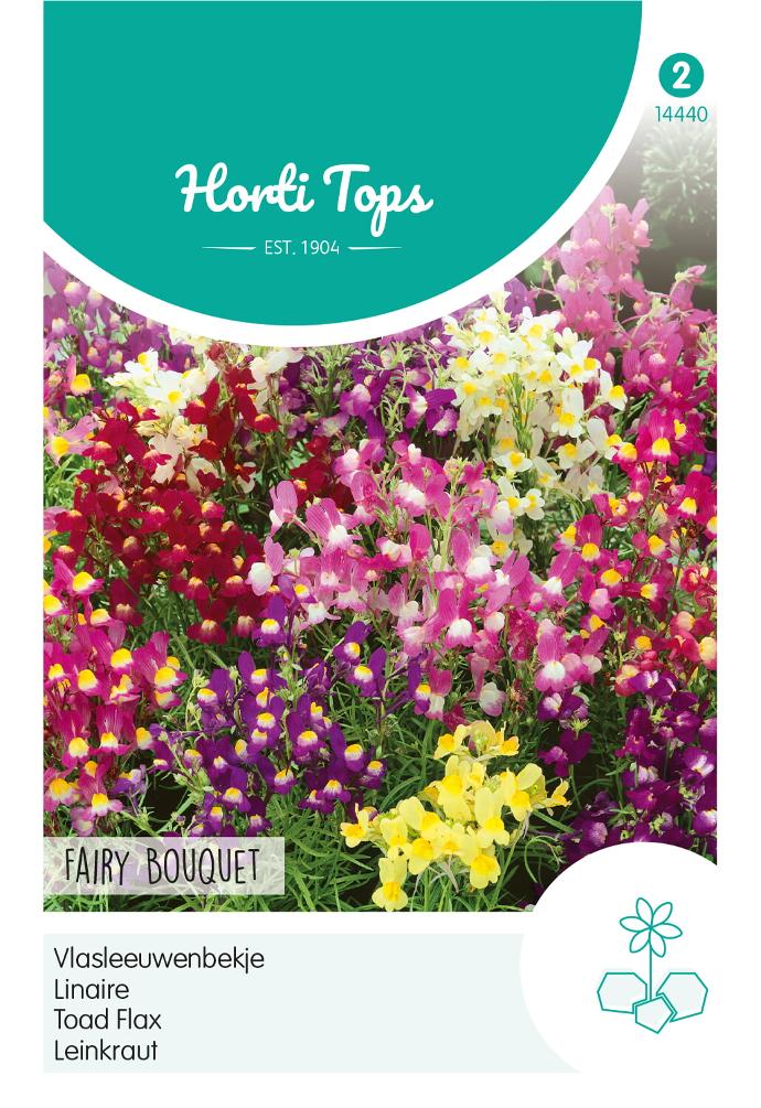 Linaria MAROCCANA - ca 0,5 g