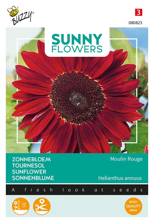 Helianthus annuus MOULIN ROUGE F1 - ca 1 g