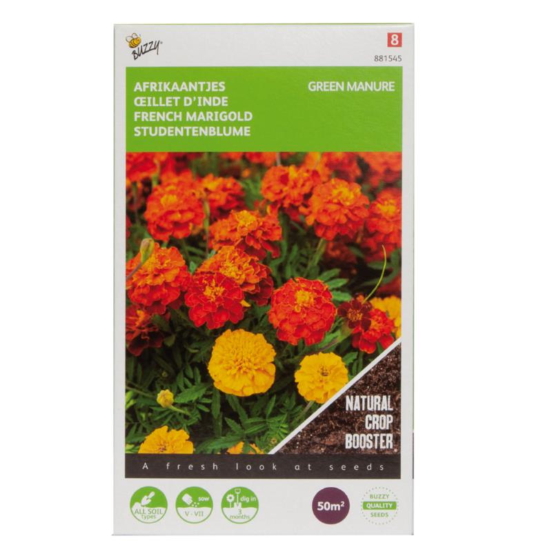 Tagetes AALTJESBESTRIJDING - ca 50 g - 50 m²