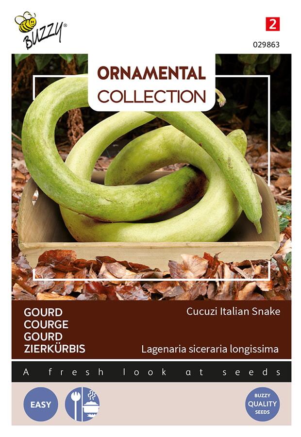 Cucurbita CUCUZI (Italian snake) - ca 2,5 g