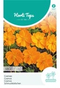 Cosmos sulphureus SUNSET - ca 1 g