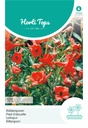 Delphinium nudicaule FOX - ca 25 z