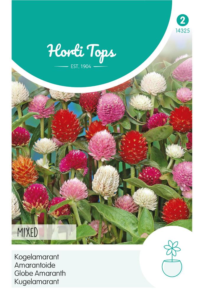 Gomphrena GLOBOSA - ca 0,25 g