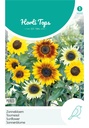 Helianthus of Zonnebloem CUCUMERFOLIUS - ca 1 g