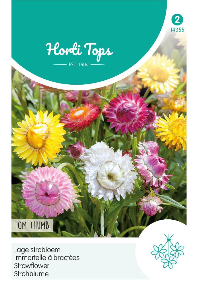 Helichrysum BRACTEATUM - ca 0,75 g