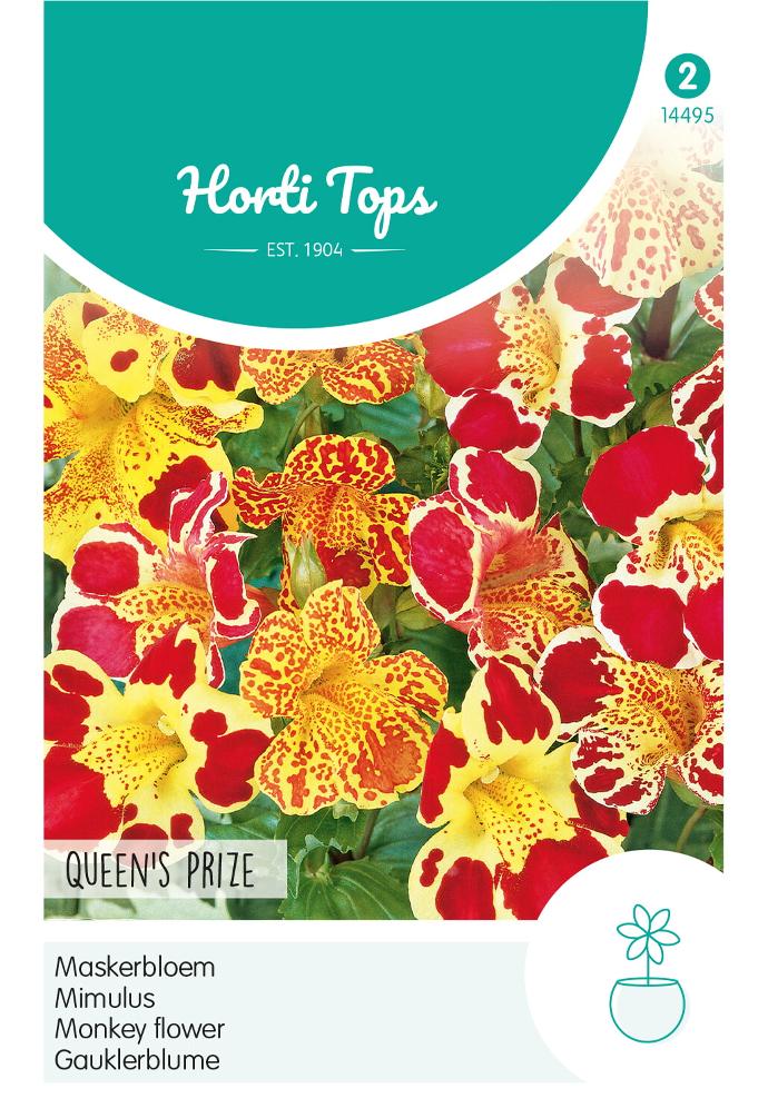 Mimulus tigrinus QUEEN'S PRIZE - ca 15 s