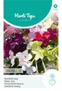 Nicotiana alata of Siertabak TINKERBELL F2 gemengd - ca 0,1 g