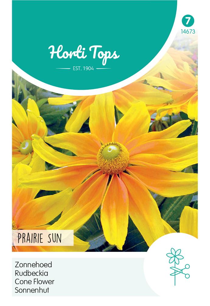 Rudbeckia hirta PRAIRIE SUN - ca 45 z