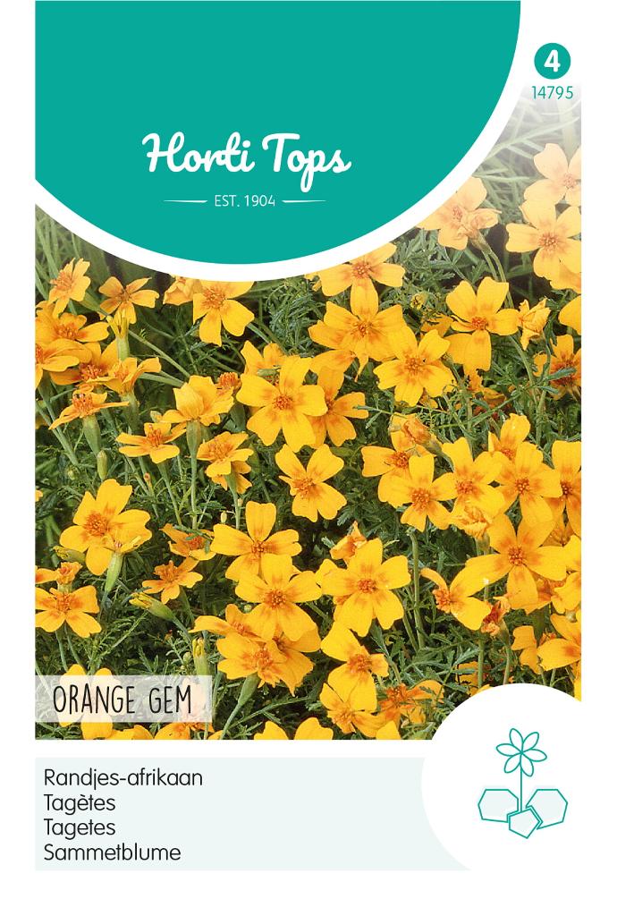 Tagetes Randjes-afrikaan Orange - ca 0,75 g