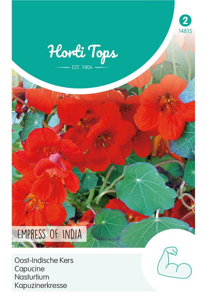 Tropaeolum majus nanum EMPRESS OF INDIA - ca 3 g