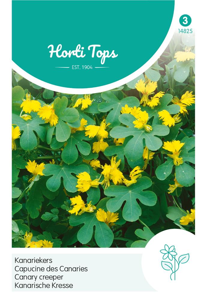 Tropaeolum peregrinum CAPUCINE DES CANARIS - ca 2,5 g