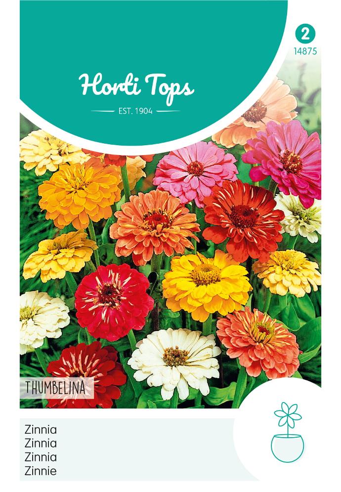 Zinnia elegans THUMBELINA mix - 0,75 g