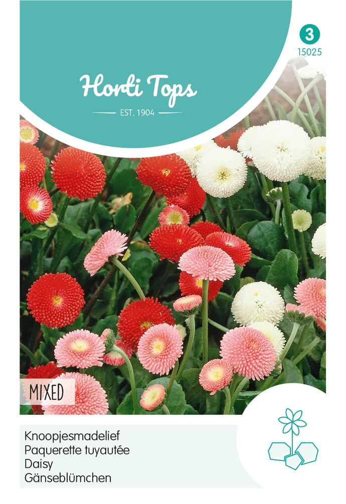 Bellis Perennis, Knoopjesmadelief Pomponette gemengd - ca 0,06 g