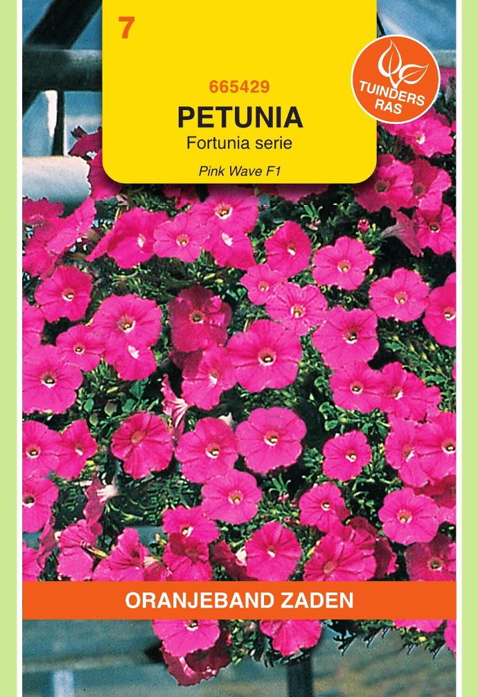 Petunia retombant PINK WAVE F1 - ca 12 semences enrobées