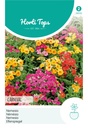 Nemesia CARNIVAL mix - ca 0,125 g