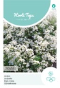 Arabis of randjesbloem Scheefkelk Snowball - ca 0,25g