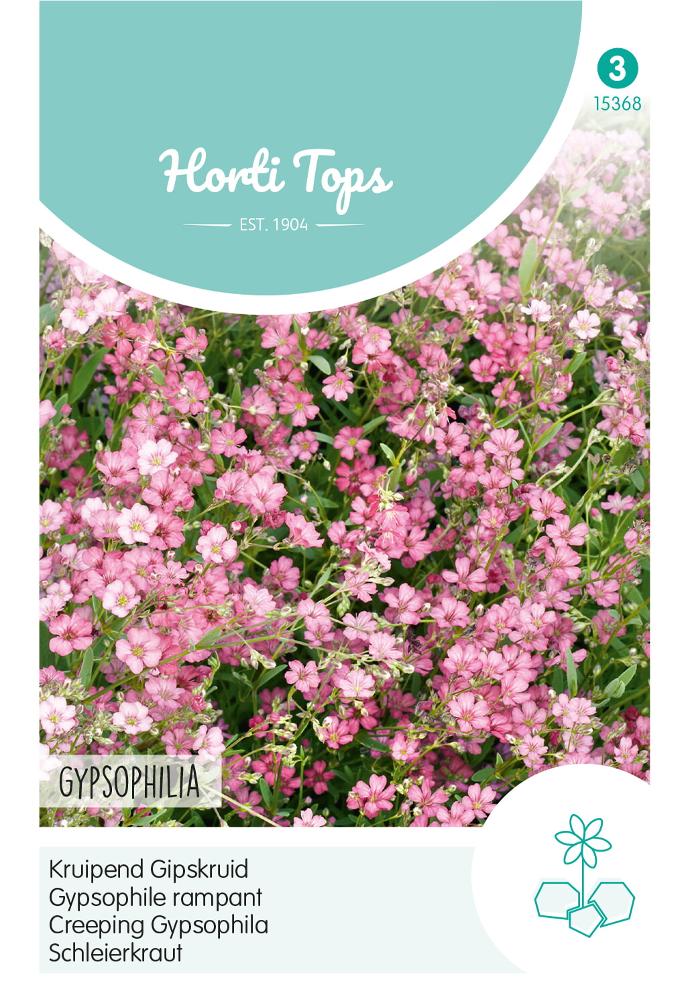 Gypsophila, kruipend Gipskruid rose - ca 0,25 g