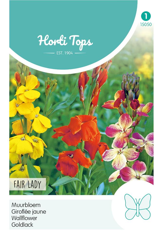 Cheiranthus cheiri of Muurbloem FAIR LADY mix - ca 0,75 g